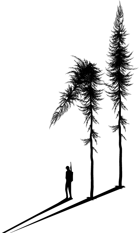 Dalla Grande Guerra alla Tempesta Vaia