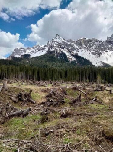 Provincia di Belluno - Scappare, Rimanere, Andare, Ritornare, Resistere.