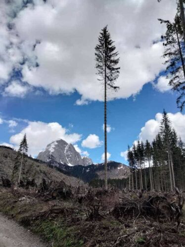 Provincia di Belluno - Scappare, Rimanere, Andare, Ritornare, Resistere.