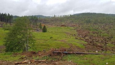 Fondazione di Storia Onlus - Storia di "Montagne Ferite"