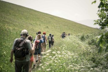 La Piccionaia - Reborn: La Montagna che Rinasce