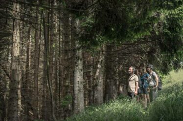 La Piccionaia - Reborn: La Montagna che Rinasce