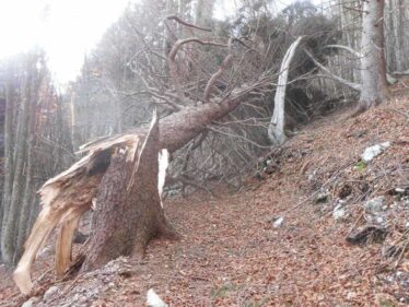 Provincia di Belluno - Scappare, Rimanere, Andare, Ritornare, Resistere.