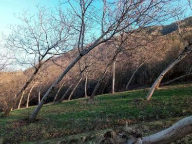 Provincia di Belluno - Scappare, Rimanere, Andare, Ritornare, Resistere.