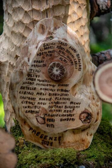 Associazione Mont de Vie - Venti di Guerra e di Tempesta