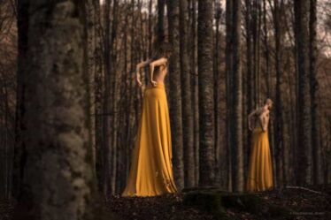 Fondazione Atlantide Teatro Stabile di Verona - Mi tengo a quest'albero mutilato