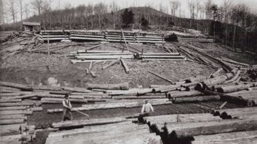Fondazione Giovanni Angelini - Le Ferite del Paesaggio Montano Bellunese