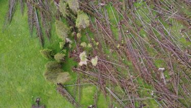 Fondazione di Storia Onlus - Storia di "Montagne Ferite"