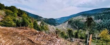 Comune di Enego - Connessione delle Memorie