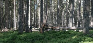 Provincia di Belluno - Scappare, Rimanere, Andare, Ritornare, Resistere.