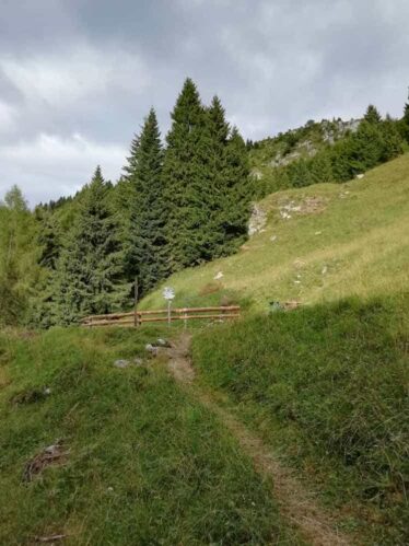 Comune di Seren del Grappa - Il Bosco degli Eroi