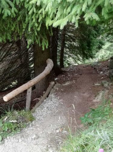 Comune di Seren del Grappa - Il Bosco degli Eroi