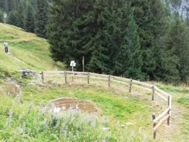 Comune di Seren del Grappa - Il Bosco degli Eroi