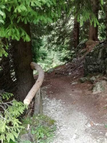 Comune di Seren del Grappa - Il Bosco degli Eroi