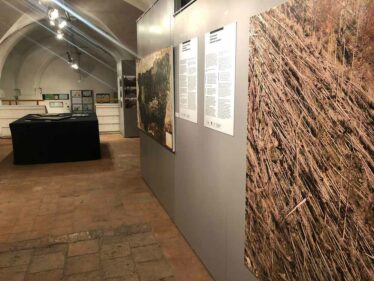 Comune di Feltre - Un Luogo per non Dimenticare