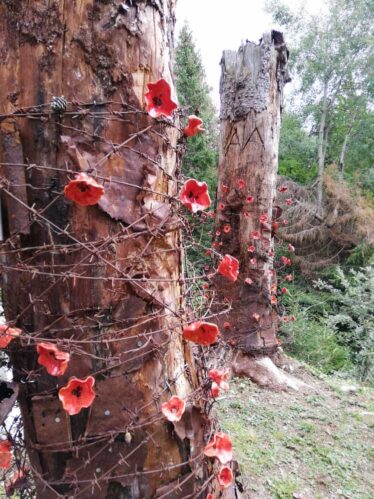 Comune di Seren del Grappa - Il Bosco degli Eroi