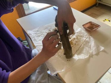 Comune di Roana - Il Fronte di Vaia