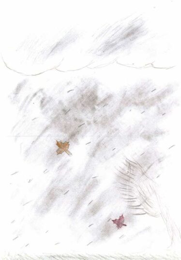 Istituto Comprensivo di Santo Stefano di Cadore e Comelico Superiore - La Guerra della Natura come quella di Trincea