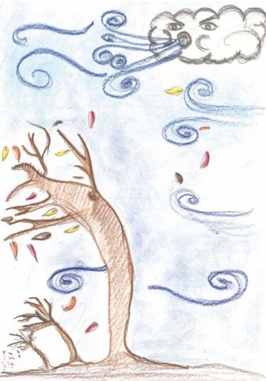 Istituto Comprensivo di Santo Stefano di Cadore e Comelico Superiore - La Guerra della Natura come quella di Trincea