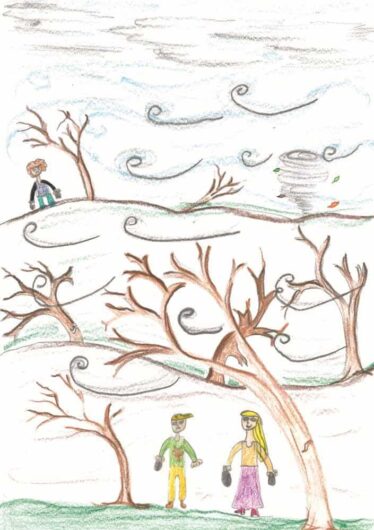 Istituto Comprensivo di Santo Stefano di Cadore e Comelico Superiore - La Guerra della Natura come quella di Trincea