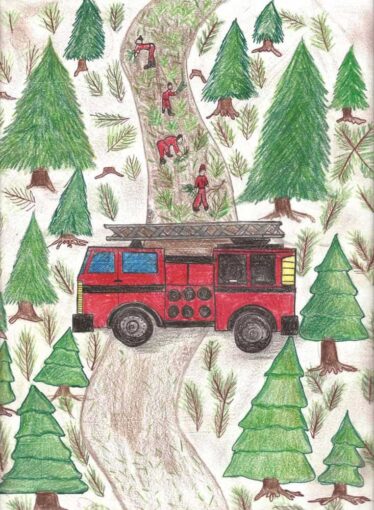 Istituto Comprensivo di Santo Stefano di Cadore e Comelico Superiore - La Guerra della Natura come quella di Trincea