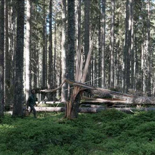 Scappare, Rimanere, Andare, Ritornare, Resistere.