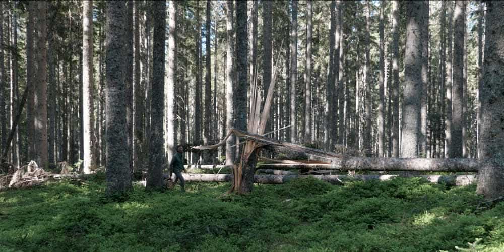 Scappare, Rimanere, Andare, Ritornare, Resistere.