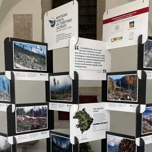 Luoghi della Memoria della Montagna Veneta: tra devastazione e ricostruzione