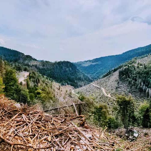 Connessione delle Memorie