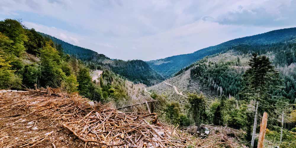 Connessione delle Memorie