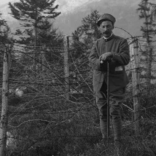 Le Ferite del Paesaggio Montano Bellunese da Grande Guerra a Vaia. Promuovere Resilenza e Sviluppo Sostenibile