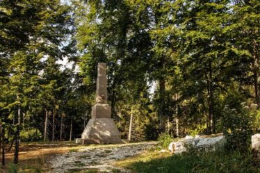 Comune di Roana - Il Fronte di Vaia