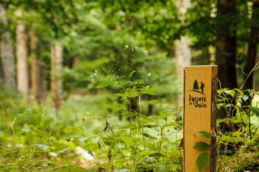 Comune di Roana - Il Fronte di Vaia