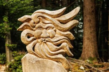 Comune di Roana - Il Fronte di Vaia