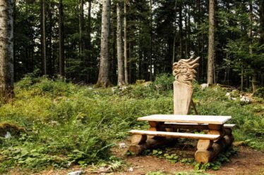 Comune di Roana - Il Fronte di Vaia