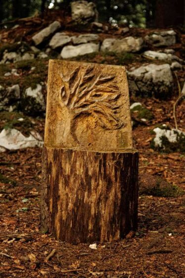 Comune di Roana - Il Fronte di Vaia