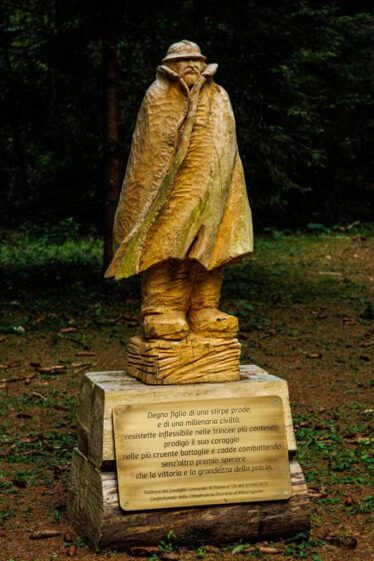 Comune di Roana - Il Fronte di Vaia