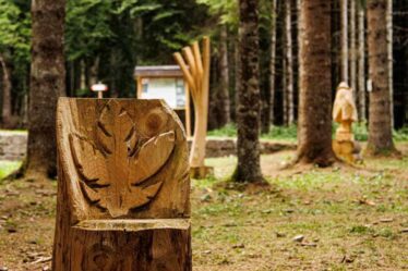 Comune di Roana - Il Fronte di Vaia